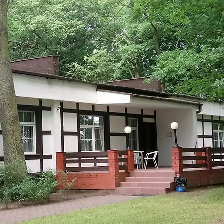Hostel Dworek Osiecki Koral Osieki  Dış mekan fotoğraf